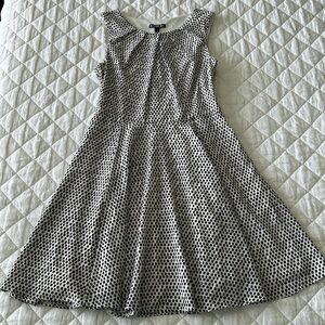 Express Fit and Flare Dress